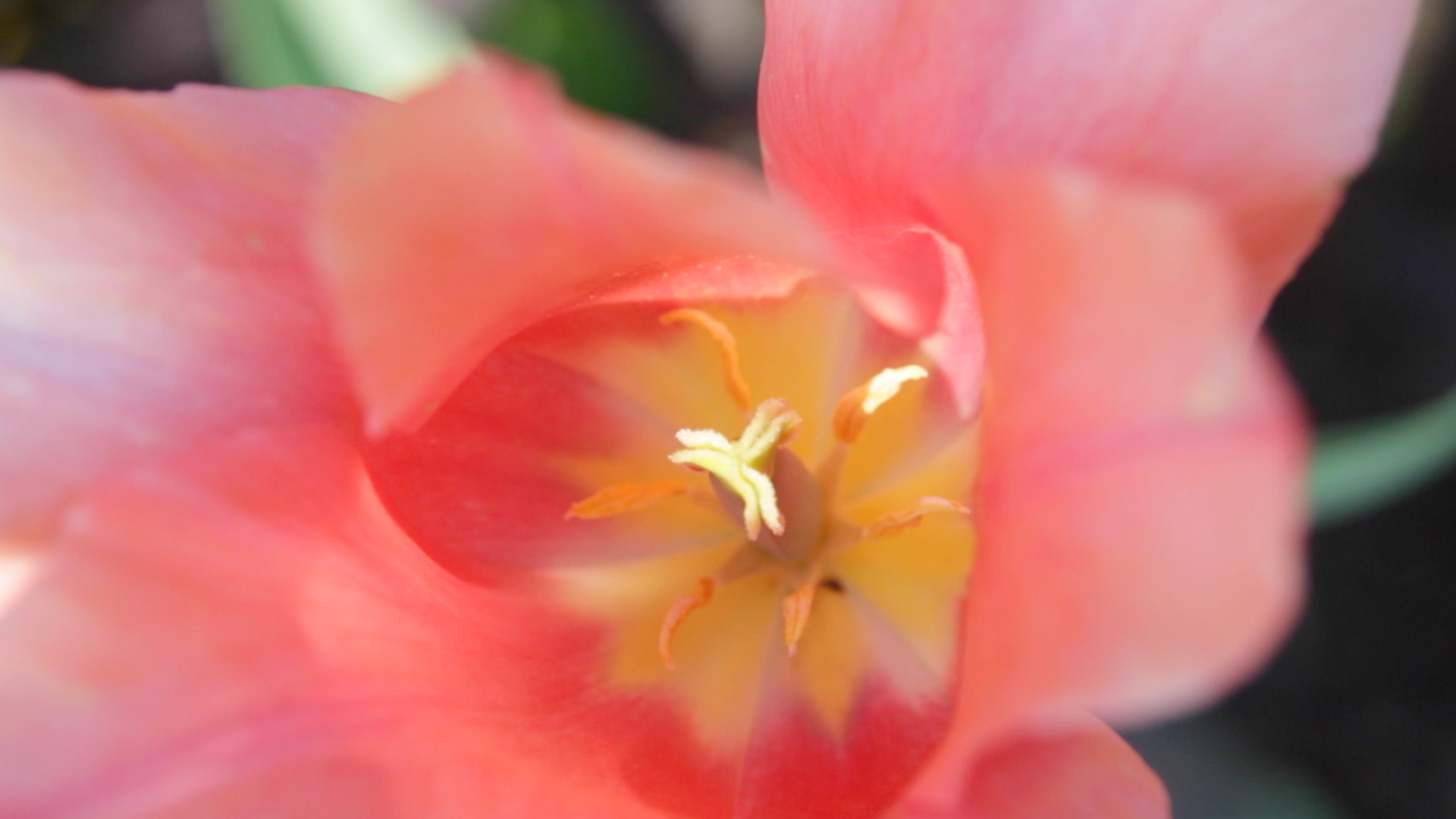 time is art, film, movie, documentary