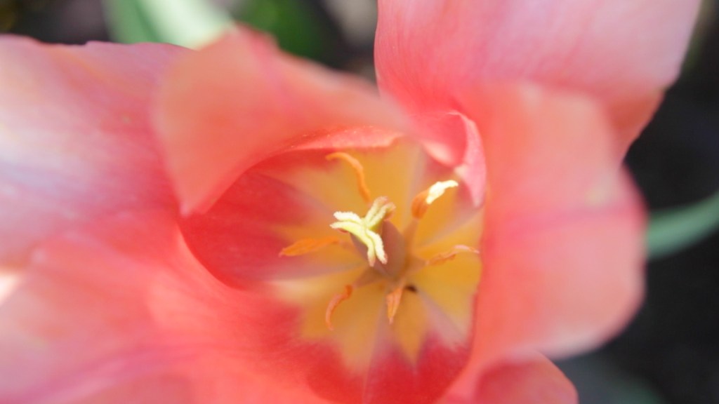 time is art, film, movie, documentary