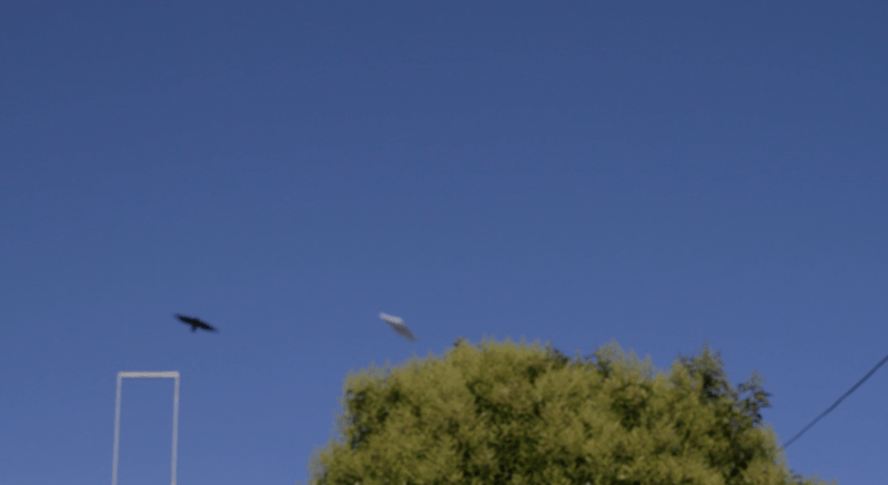 Screenshot of the UFO filmed that day 