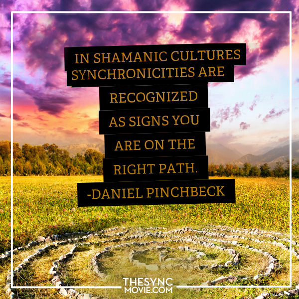 Daniel pinchbeck , sychronicity